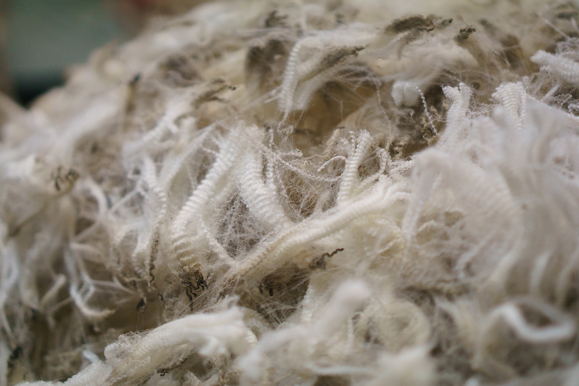 What Is Merino Wool?