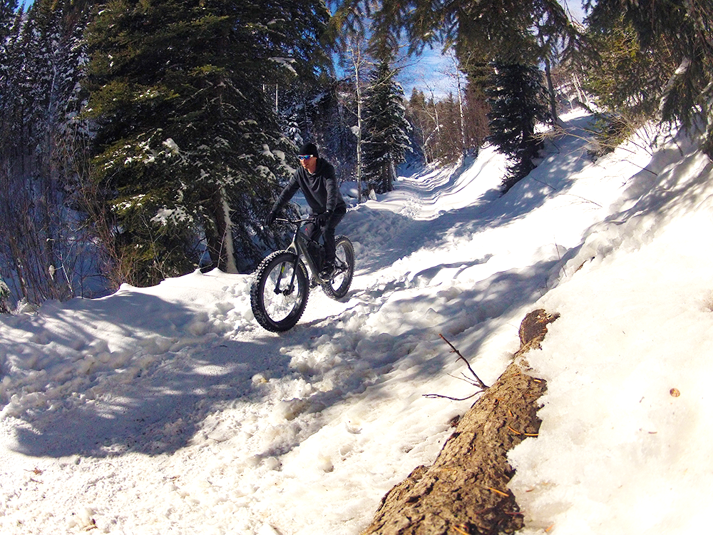 Fat Biking Tips for Beginners