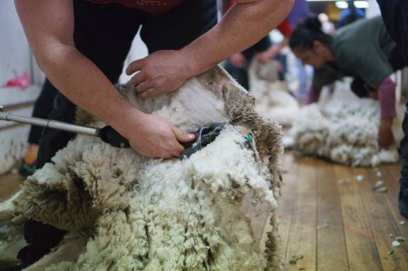 GearJunkie on Base Layers - From 01/14/19