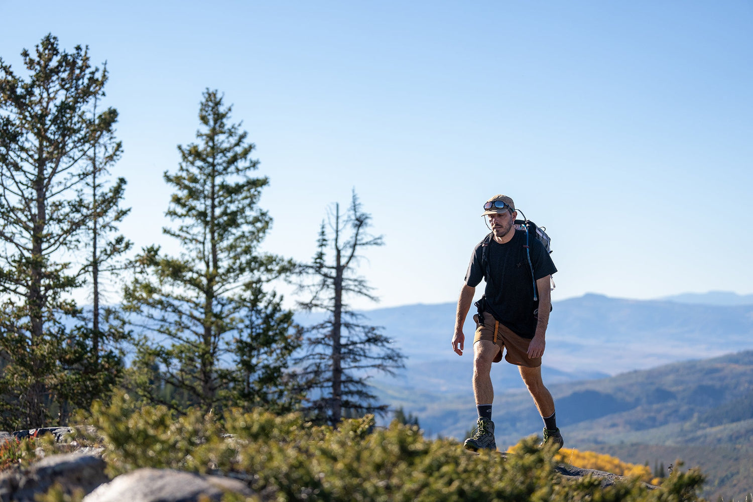 Tee Shirts