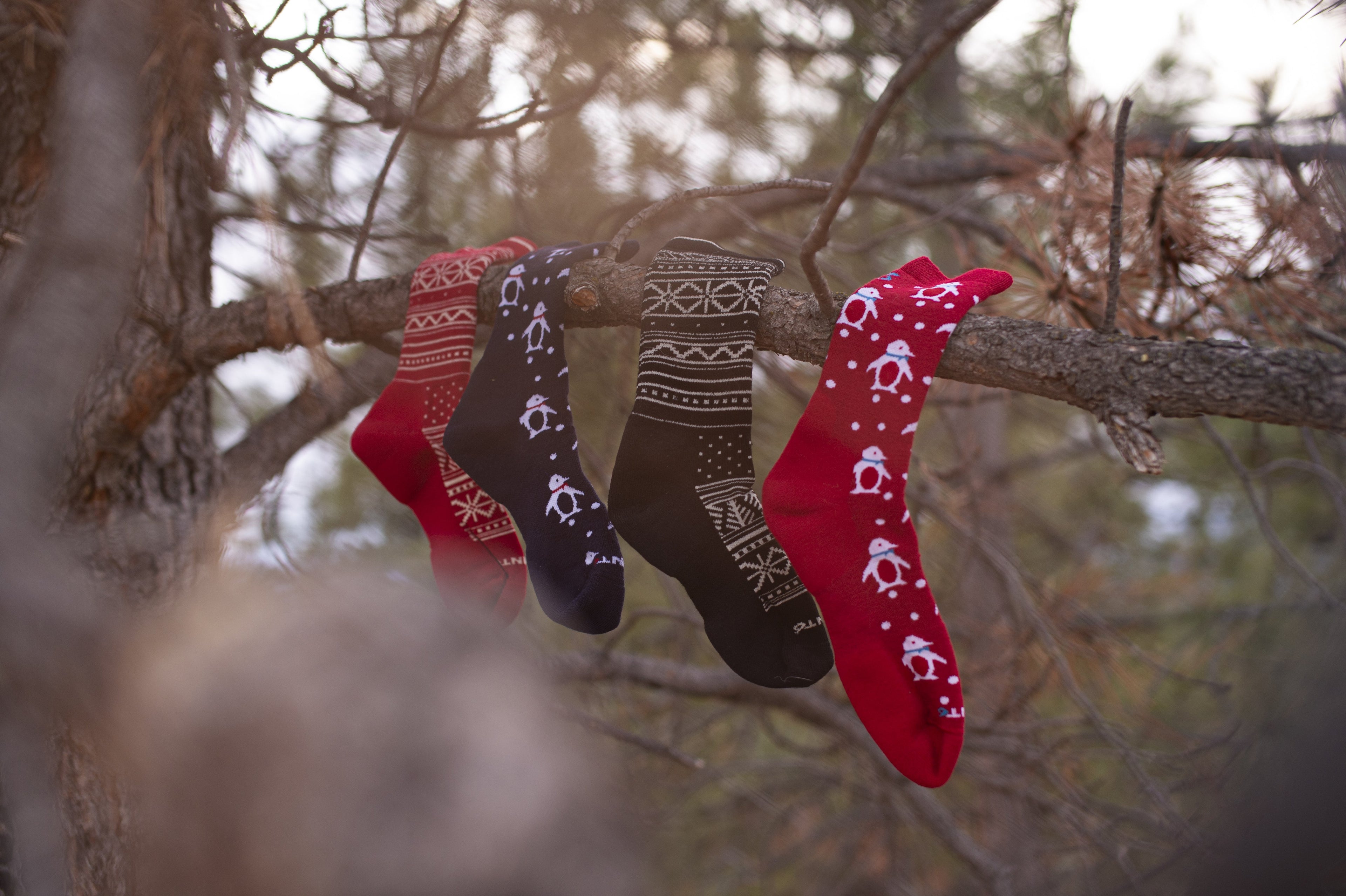 Holiday Socks