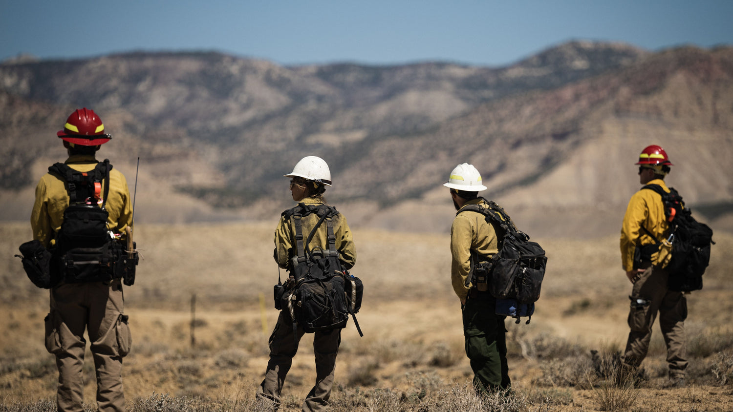 woodland firefighters