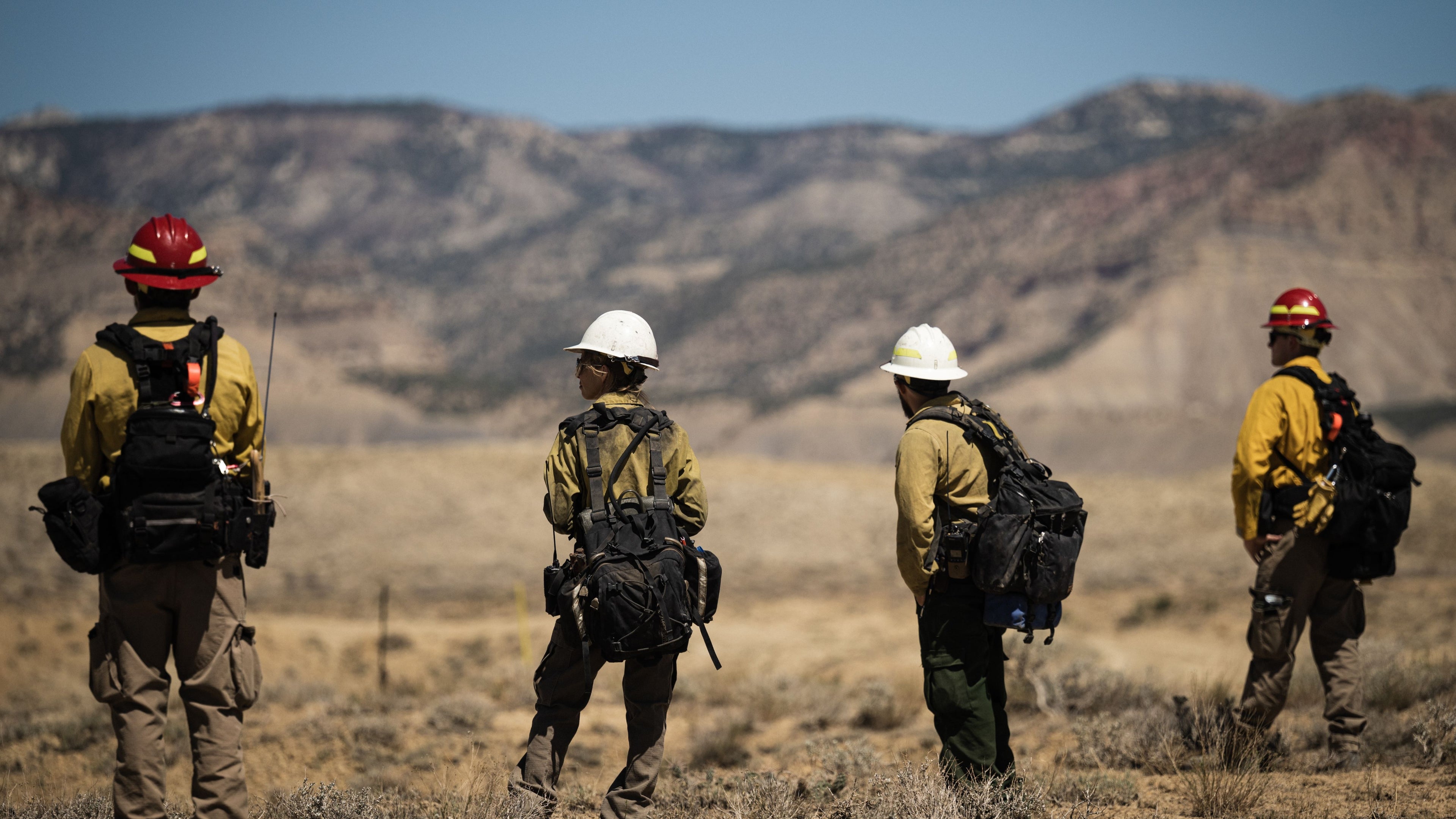 woodland firefighters