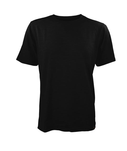 Men's Alpine Mid-Weight Merino Wool Tee