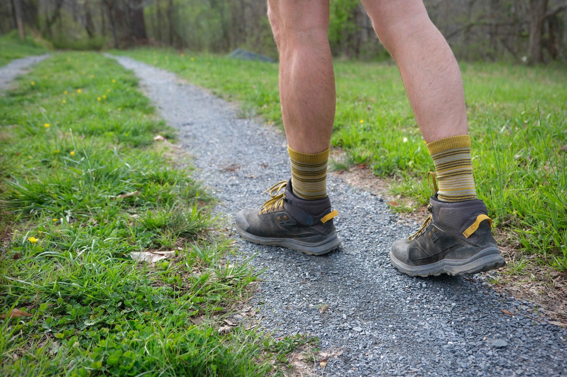 Daze Extra Light 3/4 Crew