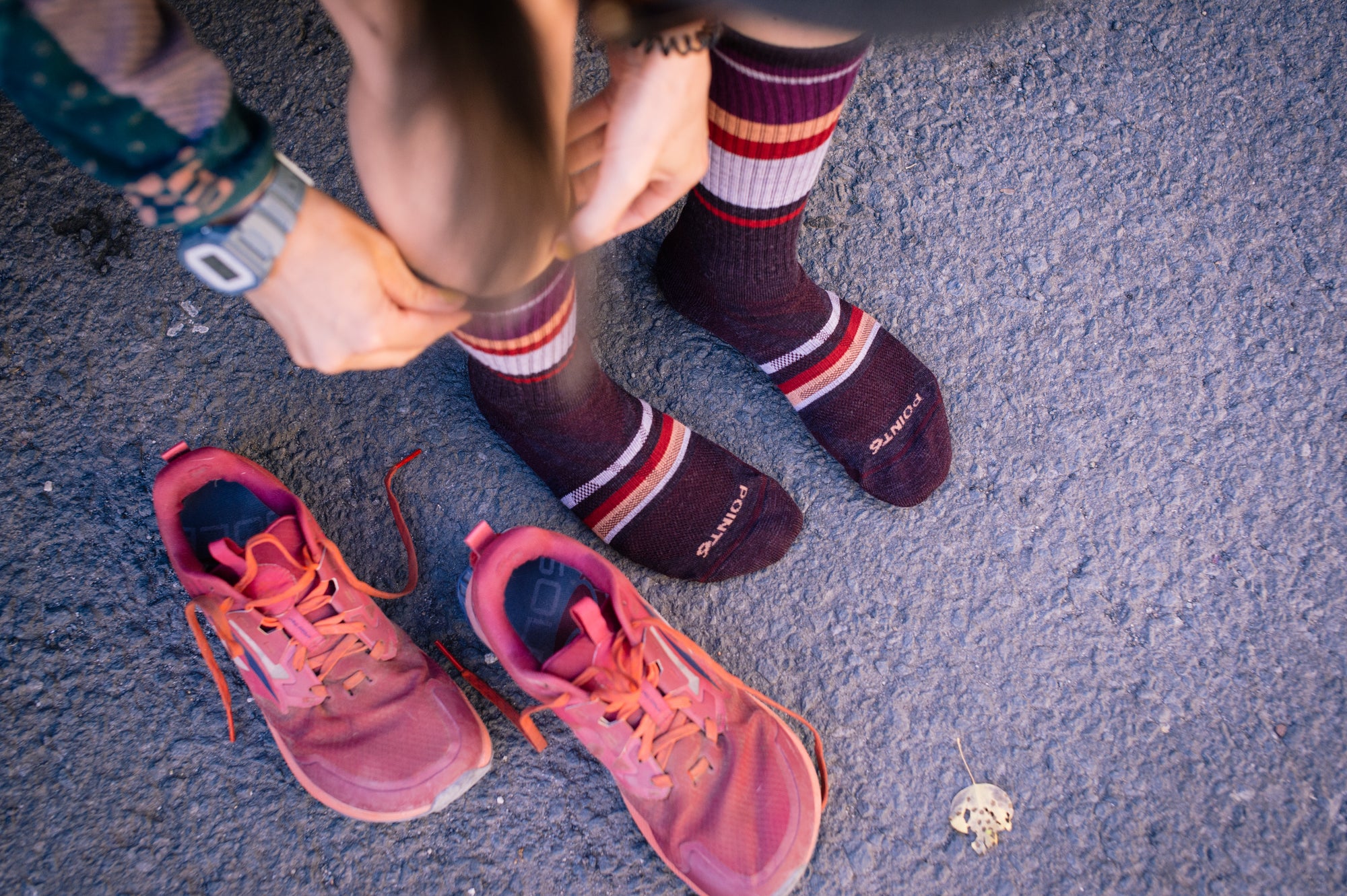 Stripe Block Light Crew